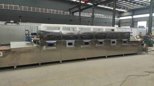 微波干燥技術在寵物用品制造中的應用 以科爾水晶貓砂烘干設備為例